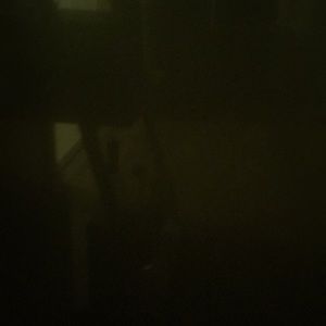 Meet your Posher, Bruce